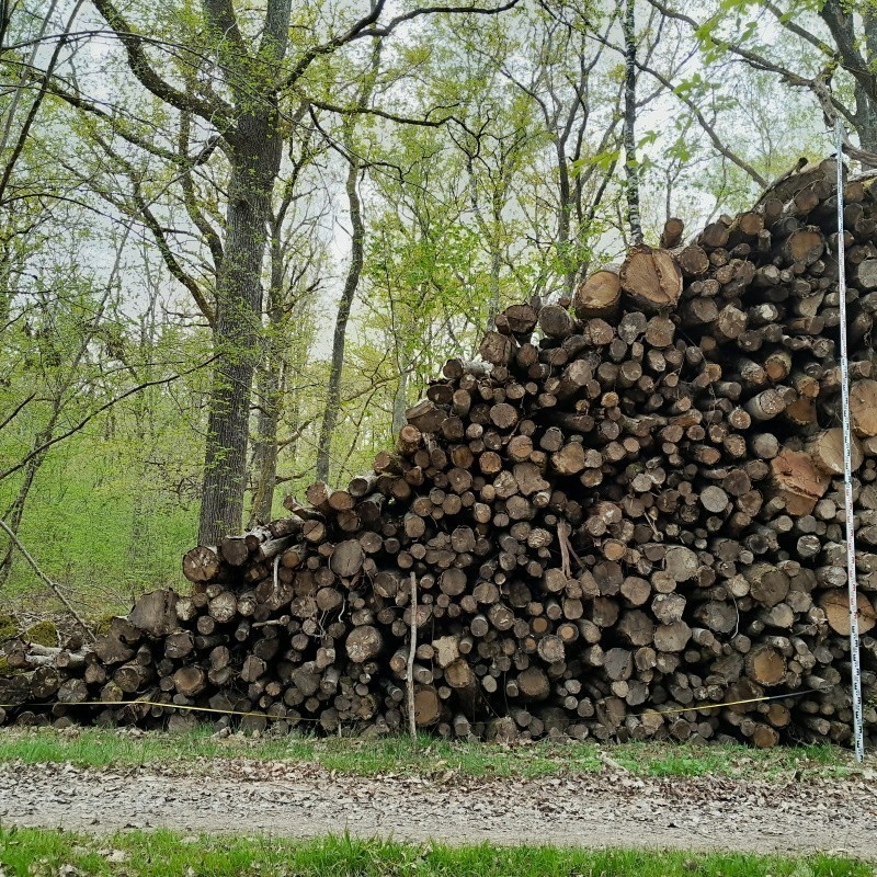 Cuber une pile de bois Actualité forestière Taurë — free download